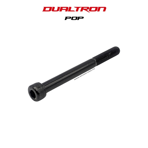 [DLT01747] DUALTRON POP | REAR FORK AXLE