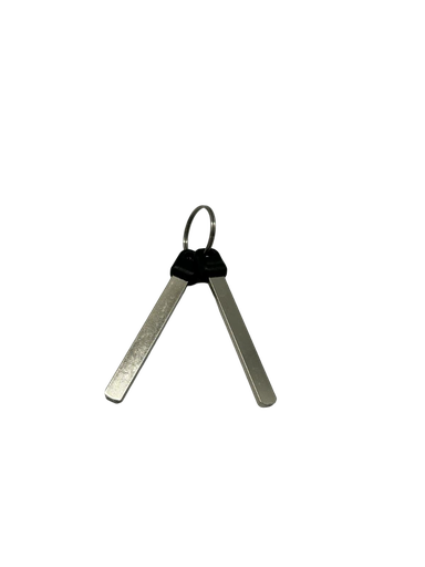 [HORWIN1154] EK1 DS Blank Key