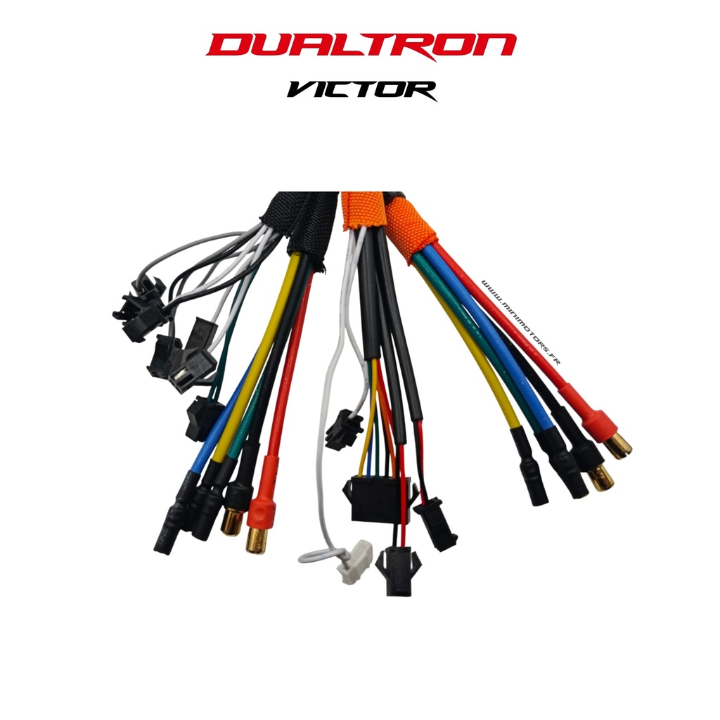 DUALTRON VICTOR & LUXURY & LUXURY PLUS V1/V2 & LTD  | CONTROLEUR 60V LDVH