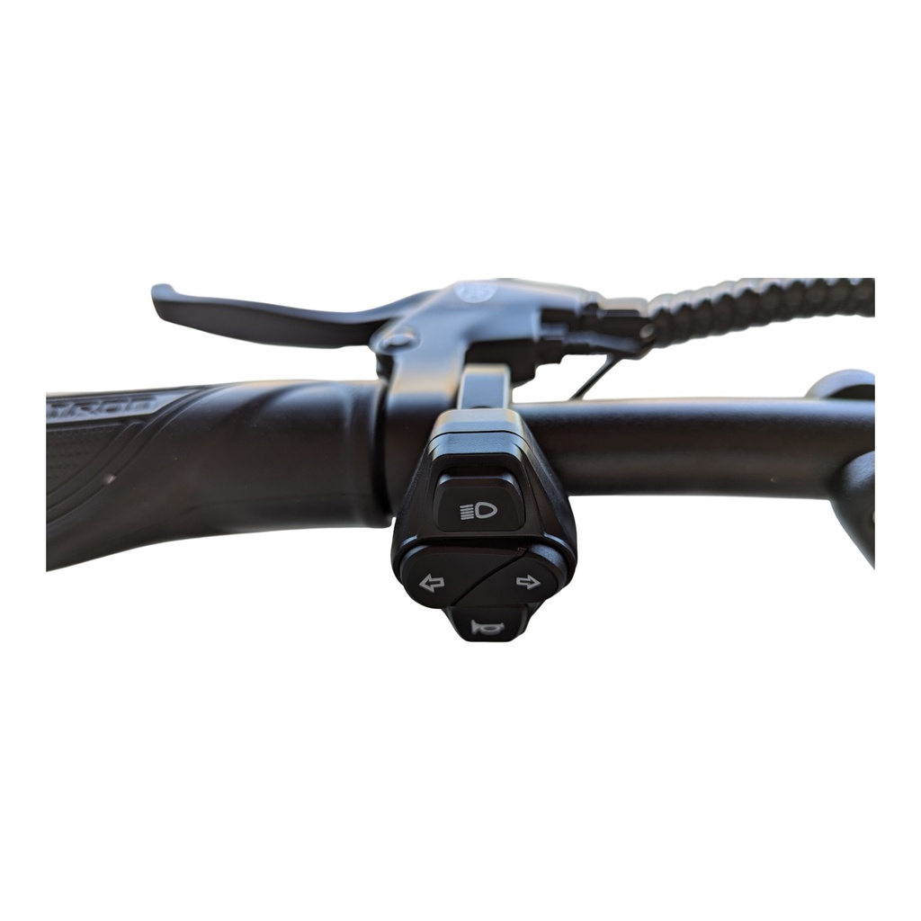 TROTTINETTE ELECTRIQUE ROVORON R7 | 60V