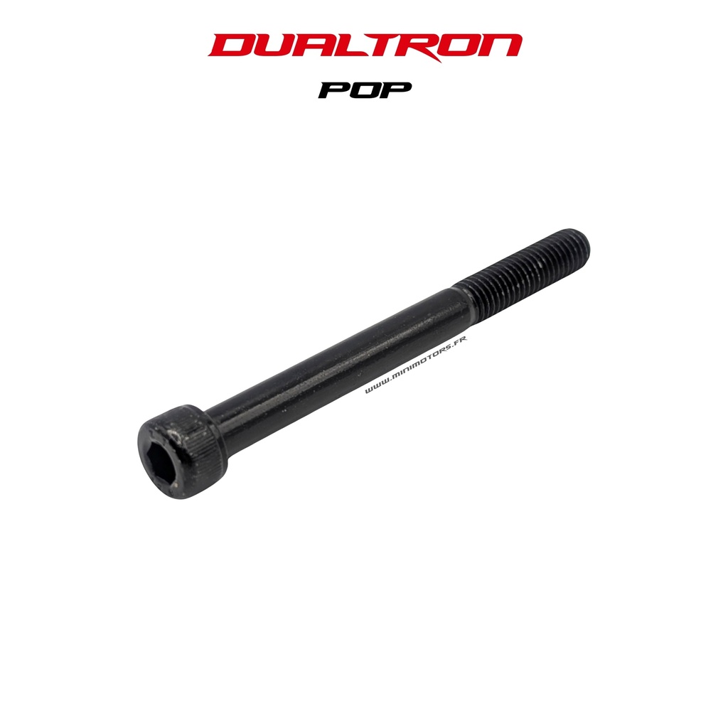 DUALTRON POP | REAR FORK AXLE
