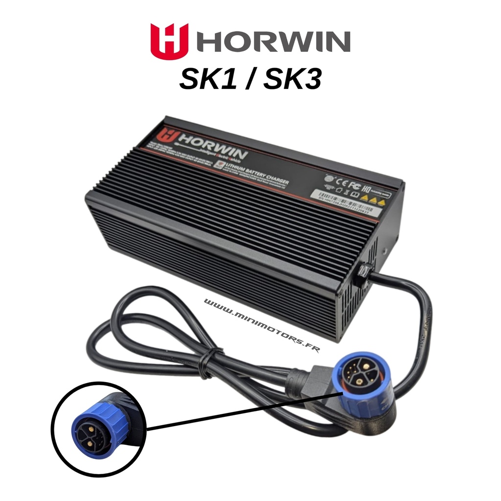 SK1 & SK3 | CHARGEUR 8A