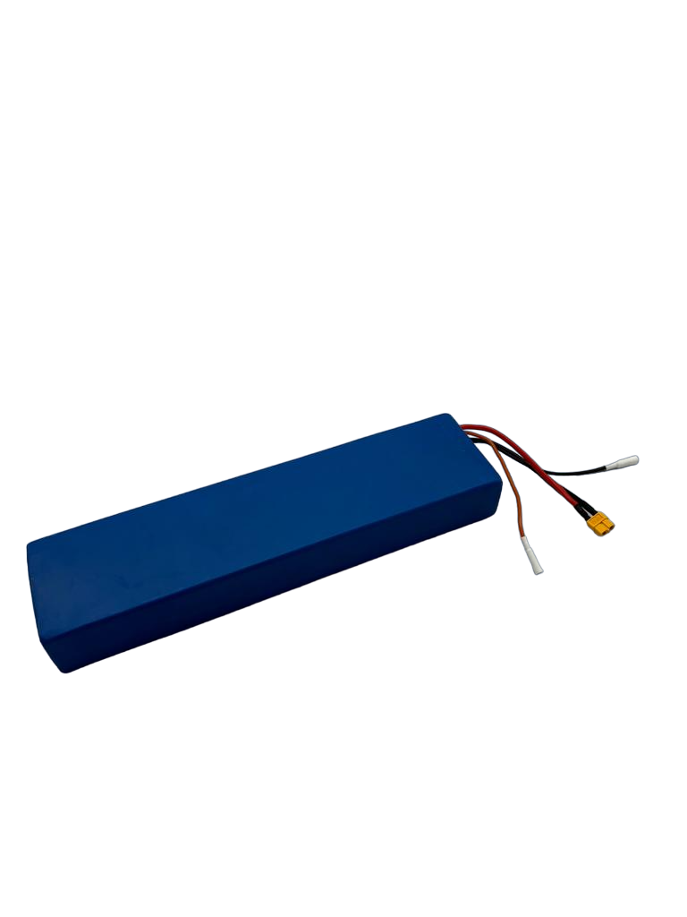 DUALTRON TOGO | BATTERIE 36V 12 AH
