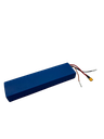 DUALTRON TOGO | 36V 12 AH BATTERY