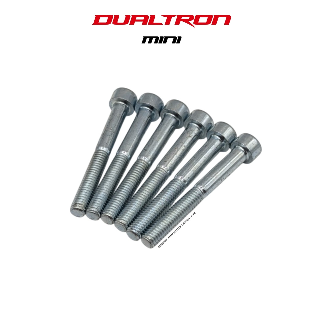 DUALTRON MINI | STEERING COLUMN SCREW (X6)