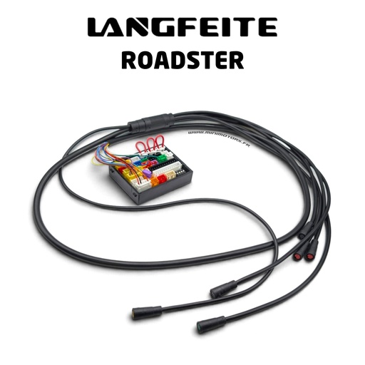 [LAN00080] LANGFEITE ROADSTER | CABLE PRINCIPAL