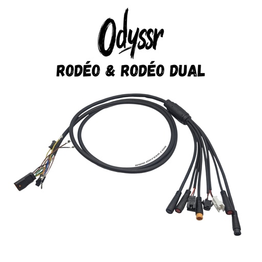 [ODY00051] ODYSSR RODEO DUAL | CÂBLE PRINCIPAL
