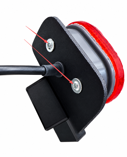 [DLT02033] DUALTRON AMINIA | VIS FEU AR SUR LA PLAQUE D'IMMATRICULATION x 2